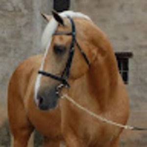 Meet your Posher, Lydia